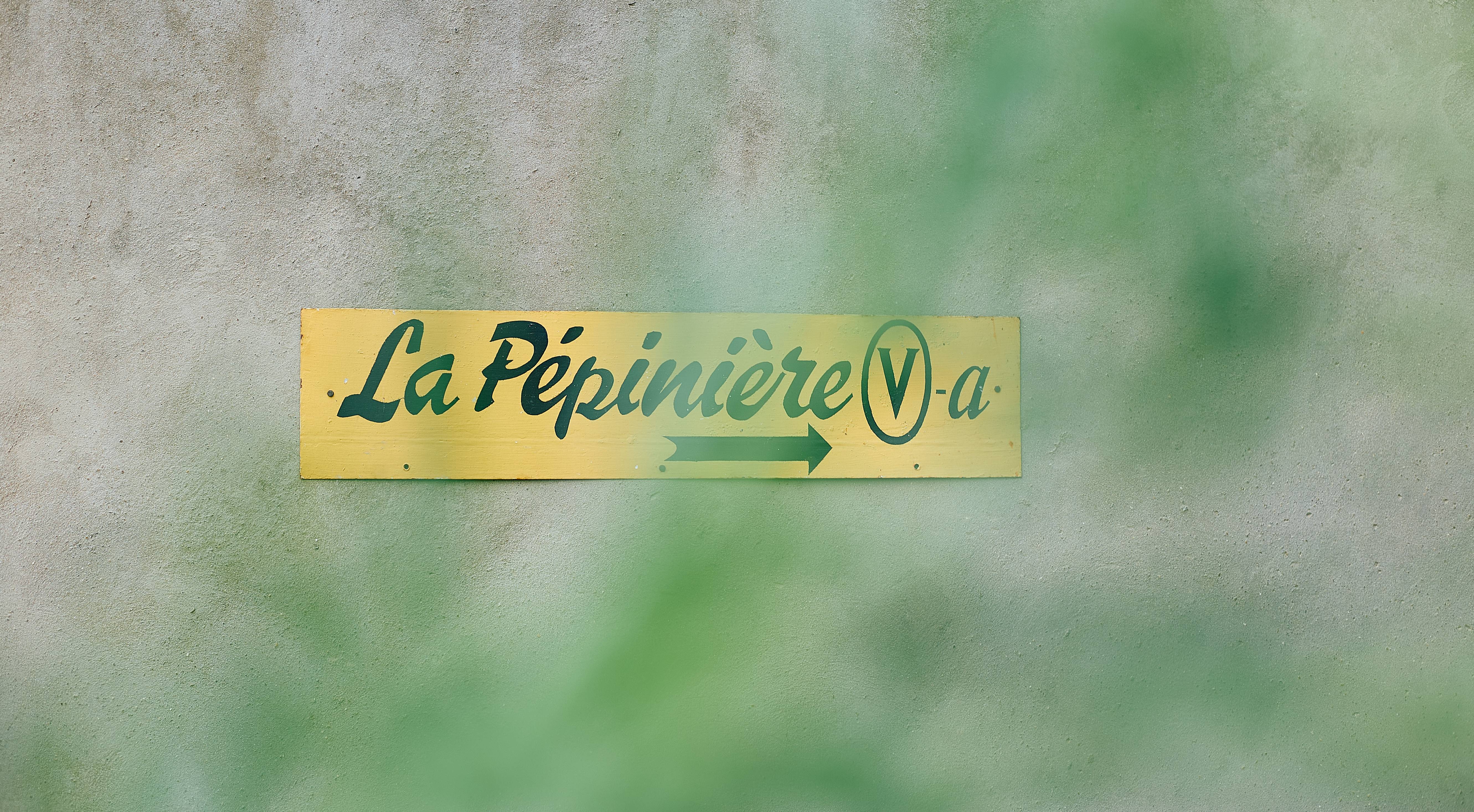 Petit aperçu de la Directrice